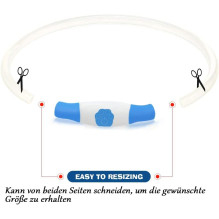 KABB LED Collar for Dogs and Cats Blue