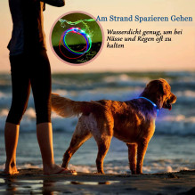 KABB LED antkaklis šunims ir katėms mėlynas