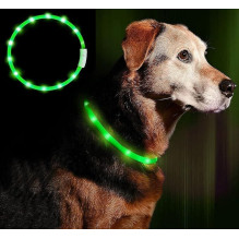 Anicoll LED antkaklis šunims ir katėms žalias