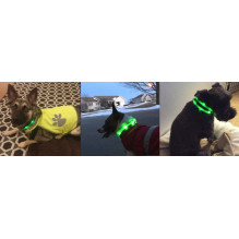 Anicoll LED Collar for Dogs and Cats Green