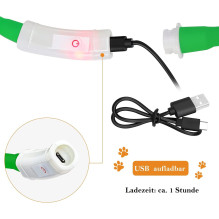 Anicoll LED antkaklis šunims ir katėms žalias