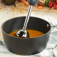 Petra PT5612BGRYVDE Hand blender blue grey / soft gold Petra PT5612BGRYVDE Hand blender blue grey / soft gold