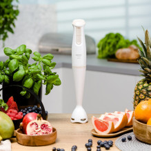 „Zelmer ZHB4560I Pulsar“.