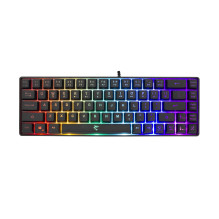 Baltasis ryklys GK-2201 RONIN Black-US