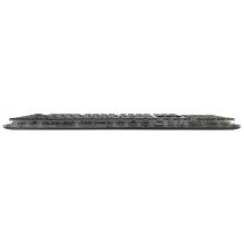Baltasis ryklys GK-003141 Tachi Black US
