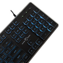 Baltasis ryklys GK-003141 Tachi Black US