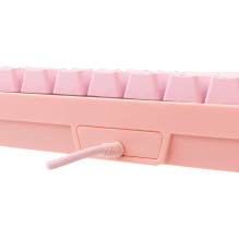 „White Shark GK-2201 RONIN Pink-US“