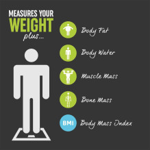 Salter 9182 SV3R Glass Analyser Scale