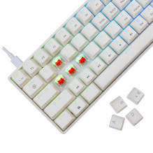 White Shark GK-004211 Shinobi 2 Red Switch, White US White Shark GK-004211 Shinobi 2 Red Switch, White US
