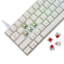 White Shark GK-004211 Shinobi 2 Red Switch, White US White Shark GK-004211 Shinobi 2 Red Switch, White US