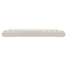 White Shark GK-004221 Shinobi 2 Blue switch, White US White Shark GK-004221 Shinobi 2 Blue switch, White US