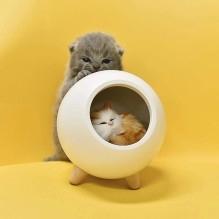 Tellur Cat Night Light