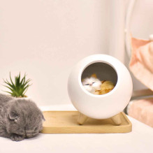 Tellur Cat Night Light