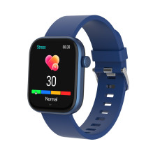 Denveris SWC-185 mėlynas