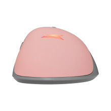 Baracuda BGM-084 Lobster Pink