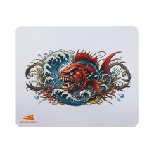 Baracuda BGMP-041 Coral...