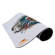 Baracuda BGMP-041 Coral 300x250 Baracuda BGMP-041 Coral 300x250