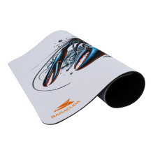 Baracuda BGMP-061 Lobster 300x250 Baracuda BGMP-061 Lobster 300x250