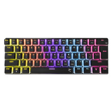 White Shark GK-2202 Ashiko...