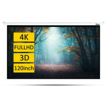 Šilelis Elektrinis Ekranas 244x183 cm ESE-2