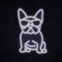 Manta SNL66WH Style Neon Lights FRENCH BULLDOG White