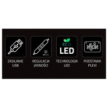 Manta SNL66WH Style Neon Lights FRENCH BULLDOG White