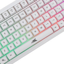 Baracuda BGC-012 Orca White Combo Baracuda BGC-012 Orca White Combo