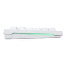 Baracuda BGC-012 Orca White Combo Baracuda BGC-012 Orca White Combo