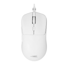 Baracuda BGC-012 Orca White Combo