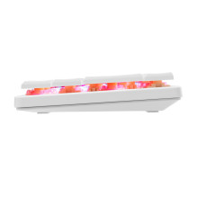White Shark GK-006211 Nagamaki White-Mechanical-Red.SW White Shark GK-006211 Nagamaki White-Mechanical-Red.SW