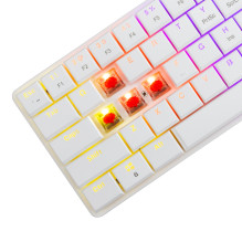 Baltasis ryklys GK-006211 Nagamaki White-Mechanical-Red.SW Baltasis ryklys GK-006211 Nagamaki White-Mechanical-Red.SW