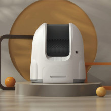Sponge Pet Smart Litter Box