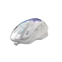 Barracuda BGM-062 Anglerfish White