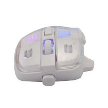 Barracuda BGM-062 Anglerfish White