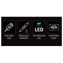 Manta SNL96MT stiliaus neoninės lemputės CAR DRIFT