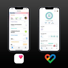 Manta SR01GD 62 mm vieno žiedo auksinis Manta SR01GD 62 mm vieno žiedo auksinis