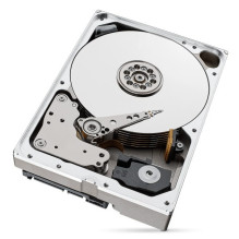 „Seagate IronWolf Pro“ vidinis kietasis diskas, 10 TB, 256 MB, 3,5 colio, „Serial ATA III“ (ST10000NT001)