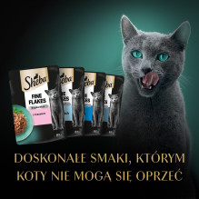 SHEBA Delicacy Fishy Flavours drebučiuose - šlapias kačių ėdalas - 80 x 85 g SHEBA Delicacy Fishy Flavours drebučiuose - šlapias kačių ėdalas - 80 x 85 g