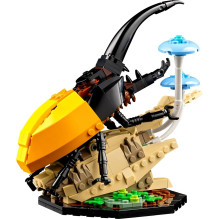 LEGO IDEAS 21342 Vabzdžių kolekcija LEGO IDEAS 21342 Vabzdžių kolekcija