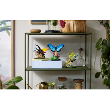 LEGO IDEAS 21342 The Insect Collection