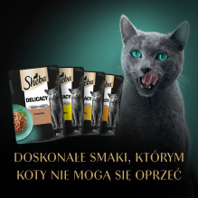 SHEBA Delicacy Poultry Flavors in jelly - wet cat food - 40x85 g
