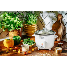 Adler AD 6418 ryžių viryklė juoda, nerūdijantis plienas 1000 W Adler AD 6418 ryžių viryklė juoda, nerūdijantis plienas 1000 W