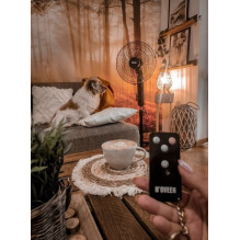 N'OVEEN F455 16" / 40 cm standing fan with remote control, Black