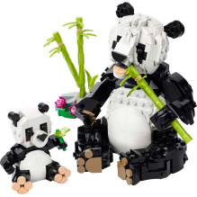 LEGO CREATOR 3 IN 1 31165 Pandų šeima
