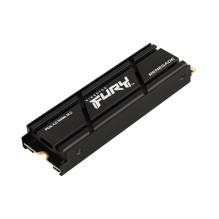 Kingston Technology 4000G RENEGADE PCIe 4.0 NVMe SSD W / HEATSINK