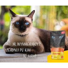 JOSERA Chicken Filet - wet cat food - 70 g
