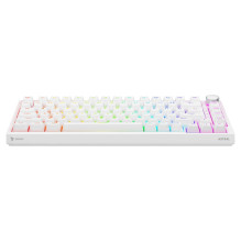 Savio ASTRAL WHITE JADE keyboard Gaming USB QWERTY US International