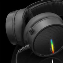 Baltasis ryklys GH-2042 Ocelotas