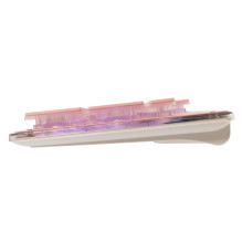 Baltasis ryklys TACHI PINK GK-003441 Pink US Baltasis ryklys TACHI PINK GK-003441 Pink US