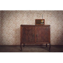 Radijas Adler AD 1171 Radijas Adler AD 1171